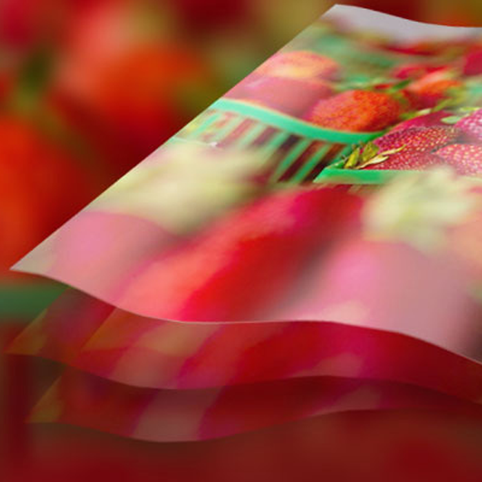 Duratrans Backlit | Duratrans.com