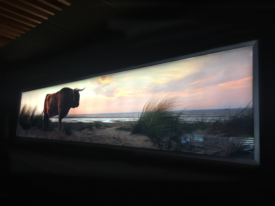 thumb-PermaLyte-restaurant-Lan